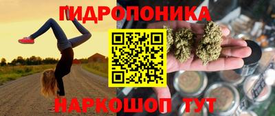 ALPHA PVP Ярославль